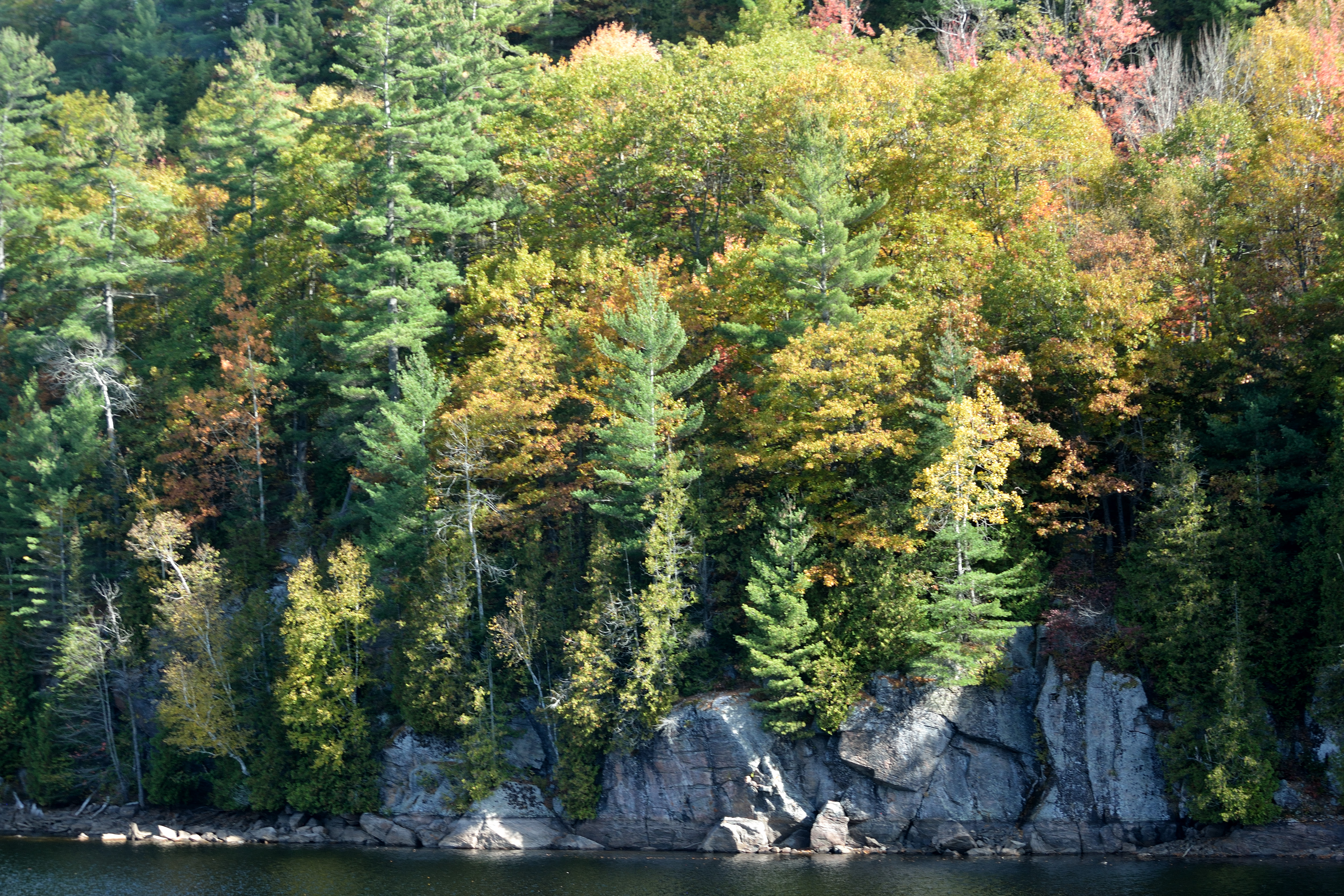 Haliburton Highlands