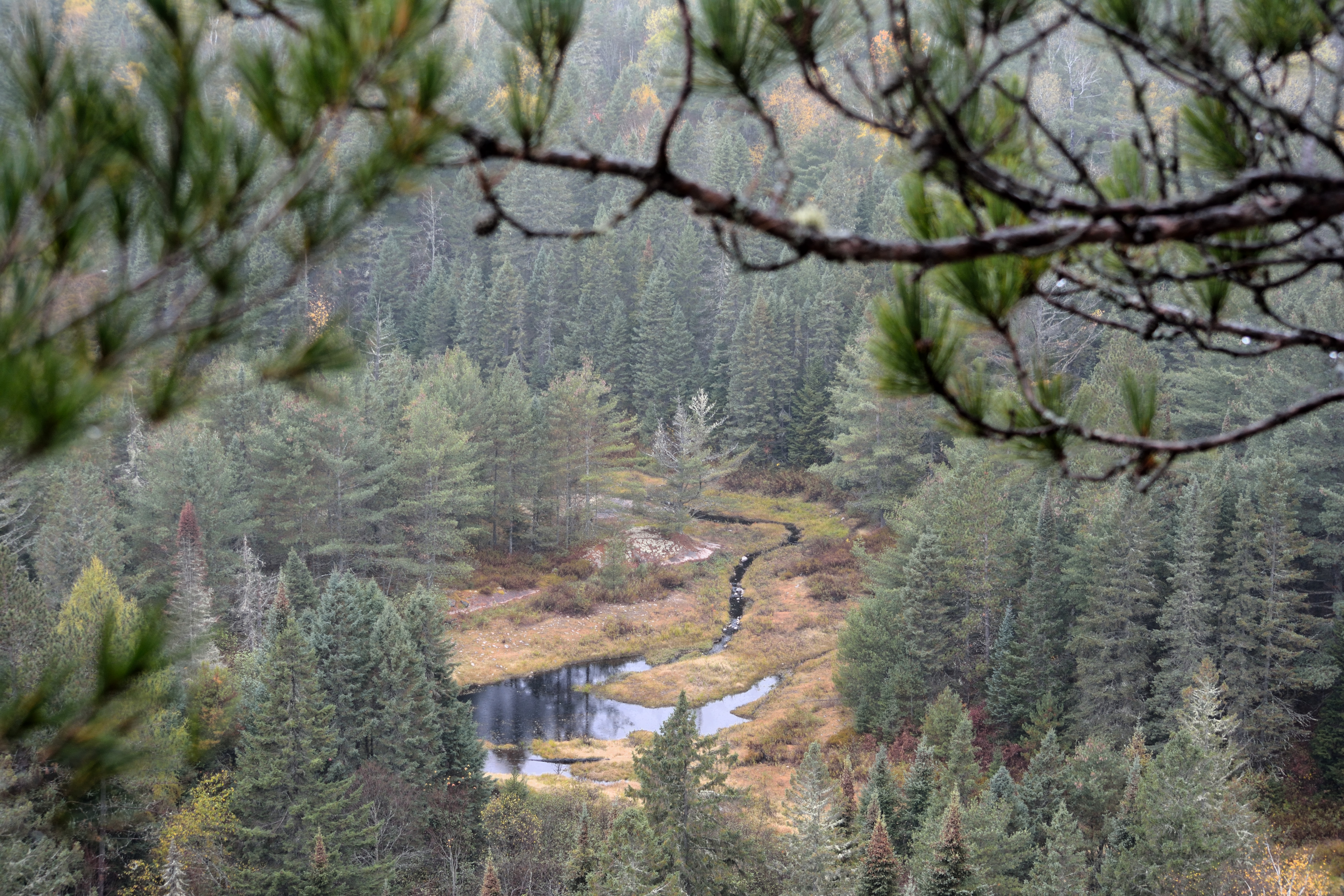 Weland as seen from the Centennail Trail