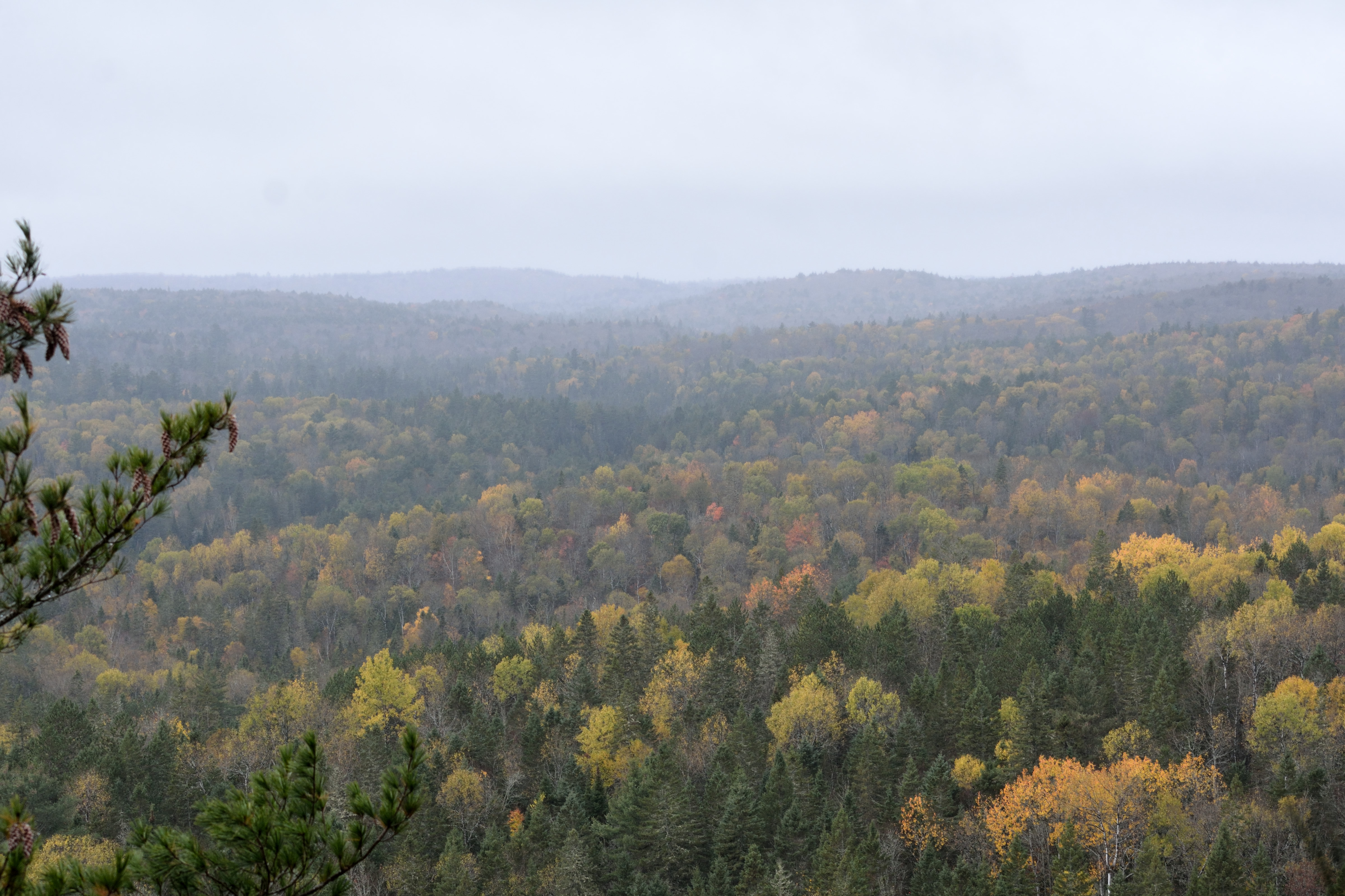 Centennial Ridge Lookoff