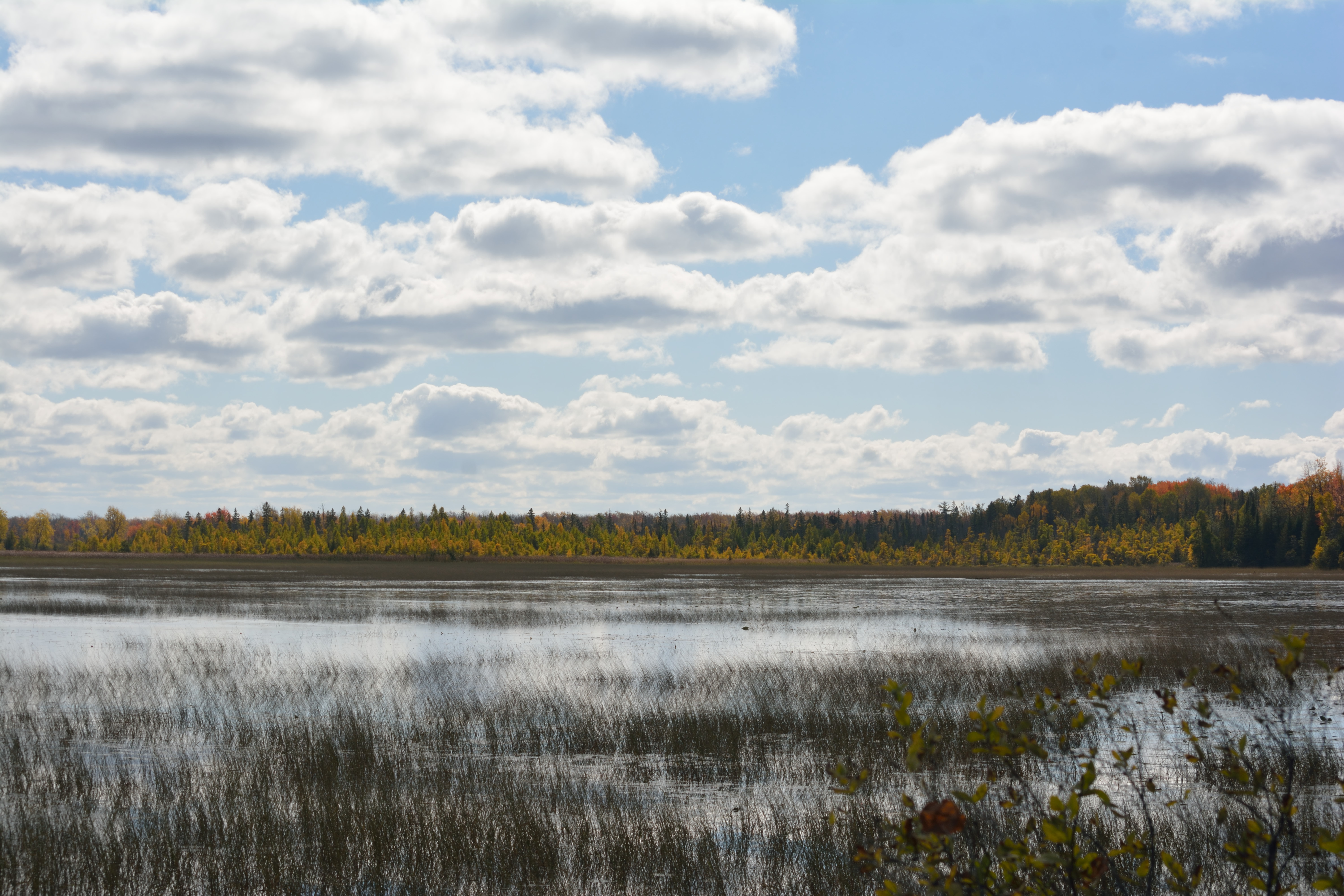 Kirkfield Mitchell Lake